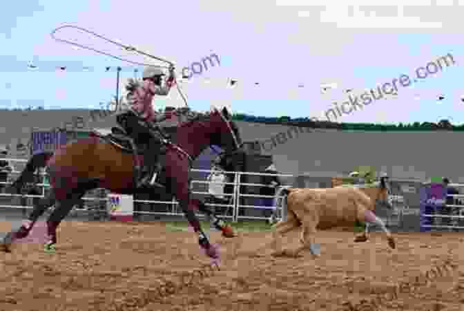 A Cowgirl Riding A Horse In A Rodeo Arena Cowgirl Up : A History Of Rodeo Women