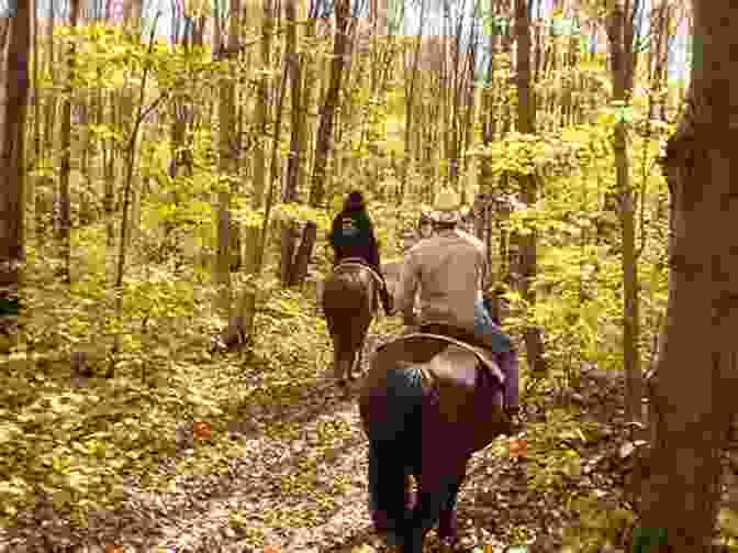 A Rider With A Positive Mindset Horseback Riding In A Forest Inside Your Ride: Mental Skills For Being Happy And Successful With Your Horse