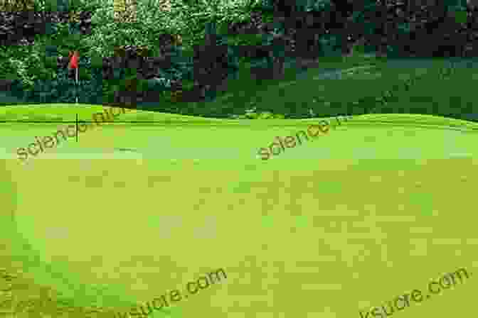 A Young Man Stands On The Green Of A Golf Course, Looking Out Over The Rolling Hills. The Man Who Inherited A Golf Course