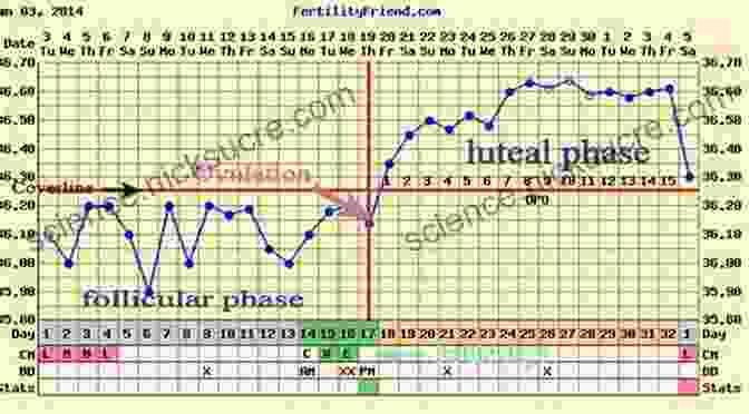 Basal Body Temperature Chart How To Chart Your Fertility Cycle: Take Control Of Your Fifth Vital Sign