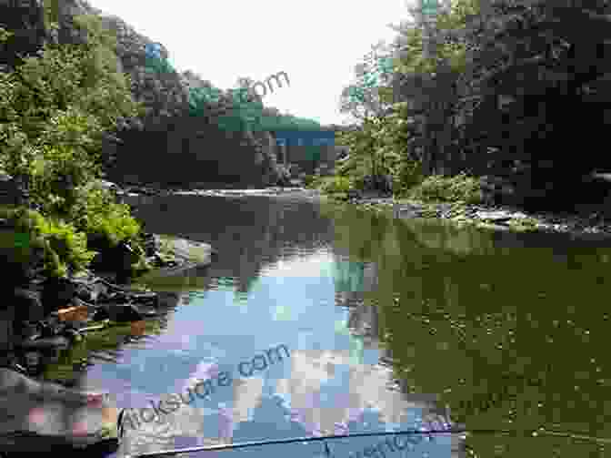 Casselman River, A Beautiful And Serene Fishing Spot In Pennsylvania Wade Fishing The North Branch Of The Potomac: Including The Casselman Savage Youghiogheny And Trout Streams (CatchGuide 4)