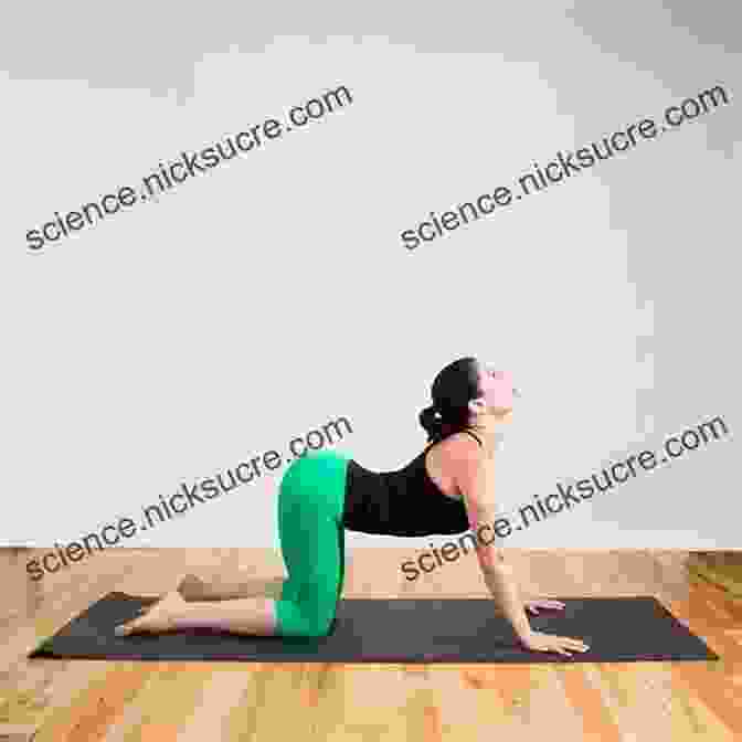 Cat Cow Pose Yoga For Menstruation Yoga For Women Yoga For PMS PMS Yoga : Yoga Poses For Menstruation Yoga Poses For PMS Yoga Poses For Women Yoga Therapy For Menstruation Menstruation Yoga