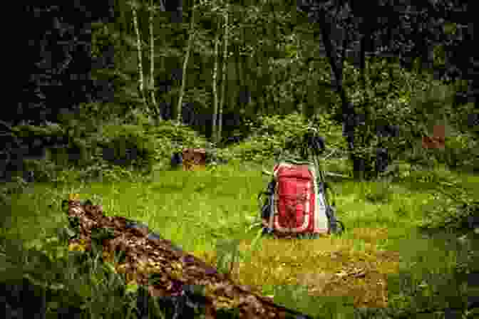 Hiker Walking In The Woods On A Microadventure Microadventures: Local Discoveries For Great Escapes