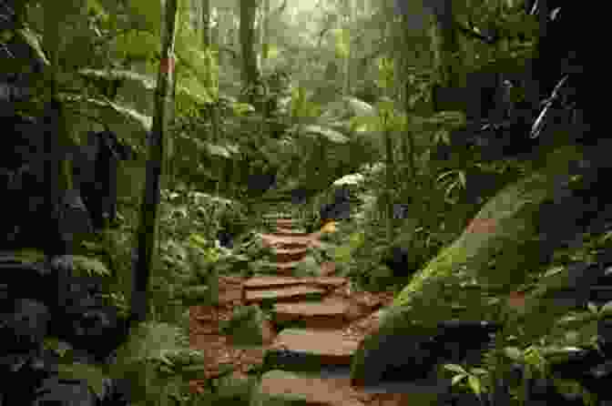 Hikers Trekking Through A Lush Alaskan Rainforest, Surrounded By Towering Trees And An Abundance Of Birdlife The Wild Side Of Alaska