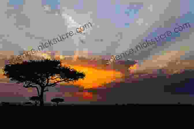 Tina Dreffin Watching The Sunset Over The African Savanna Bluewater Walkabout: Into Africa Tina Dreffin