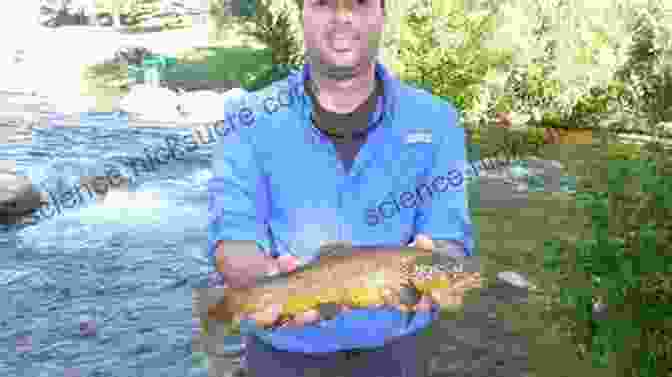 Trout Streams, A Collective Term For Smaller Rivers And Creeks Wade Fishing The North Branch Of The Potomac: Including The Casselman Savage Youghiogheny And Trout Streams (CatchGuide 4)