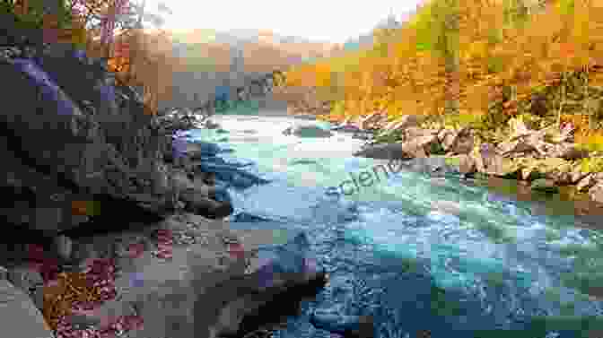 Youghiogheny River, A Popular Destination For Fishing And Kayaking Wade Fishing The North Branch Of The Potomac: Including The Casselman Savage Youghiogheny And Trout Streams (CatchGuide 4)