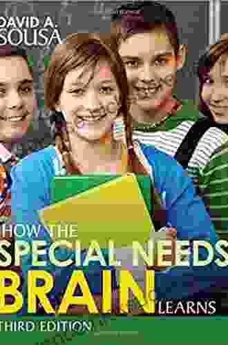 How the Special Needs Brain Learns