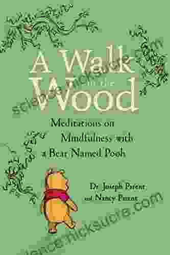 A Walk In The Wood: Meditations On Mindfulness With A Bear Named Pooh