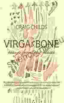 Virga Bone: Essays from Dry Places